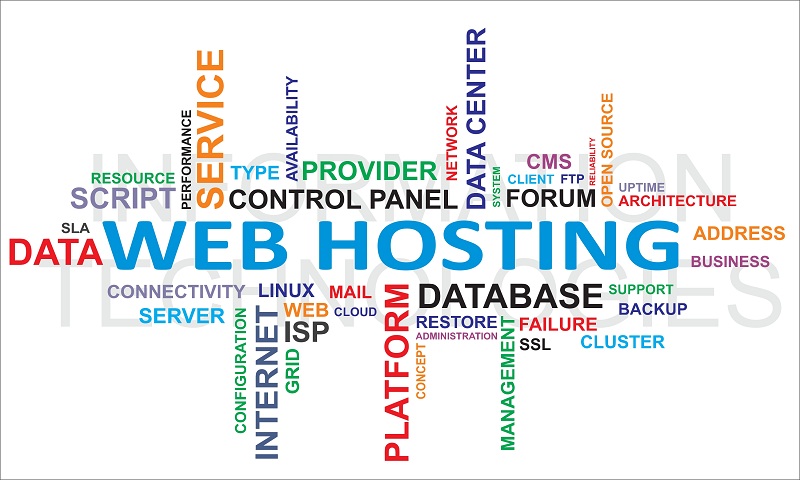 The Qualities to Look For When Finding a Web Host