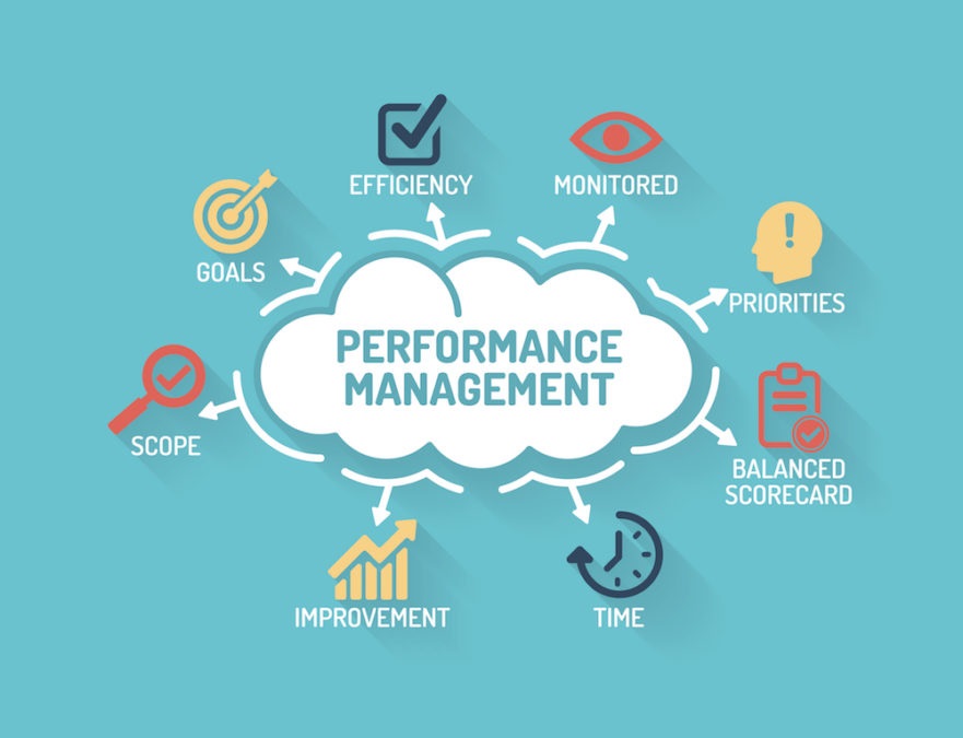 How Can A Performance Management Software Enhance The Productivity Of Your Company?
